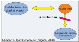 Antioksidan 1